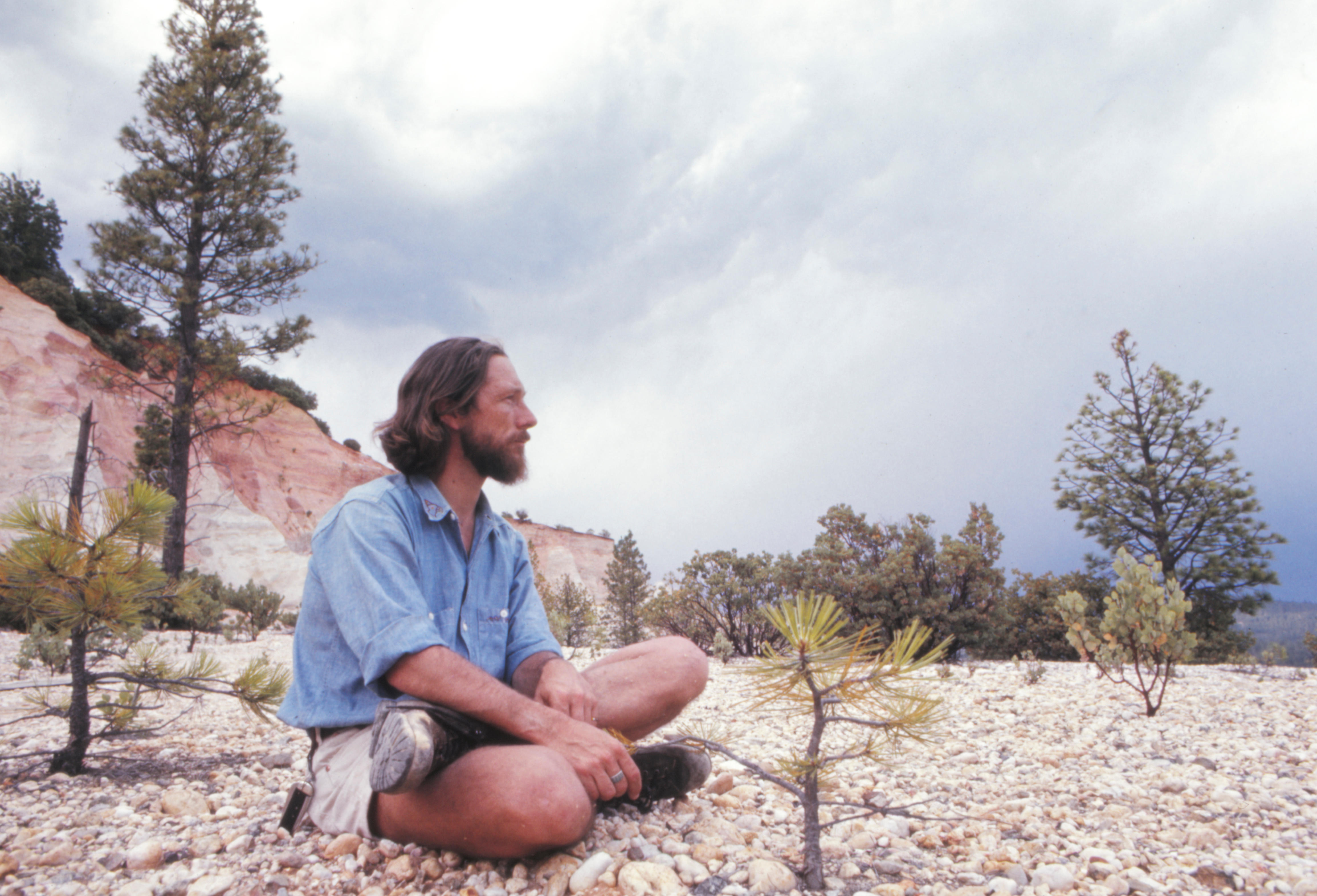 Living Under the Stars An Homage to Gary Snyder National Endowment